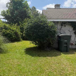 Bush Trimming by DSM Lawn and Field Mowing reviewed on June 29, 2026