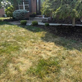 Bush Trimming by 3B Landscaping. reviewed on July 17, 2026