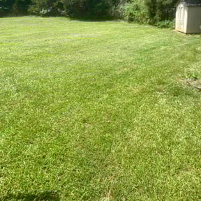 landscaping services by CadeAndKids LLC reviewed on November 27, 2025