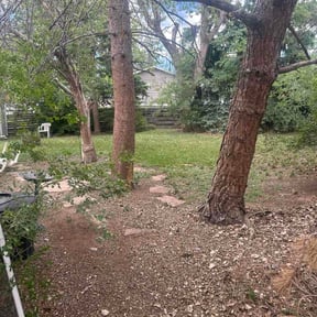 Leaf Removal by Ground Control reviewed on June 18, 2026
