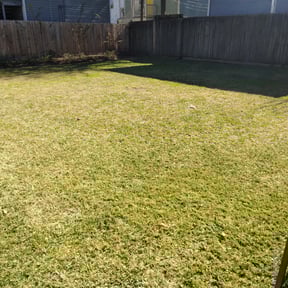 Leaf Removal by To-Doers Lawn Care reviewed on September 13, 2025