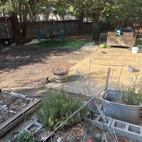 Leaf Removal by All Electric Landscaping reviewed on September 13, 2025