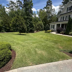 landscaping by Lucky's lawn care reviewed on November 24, 2025
