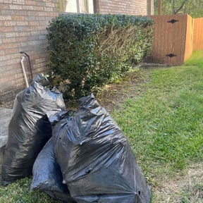 Bush Trimming by J.taylorgrading LLC reviewed on August 16, 2025