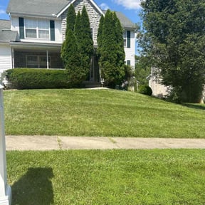 yard work by Jlt Lawn Care reviewed on August 17, 2025