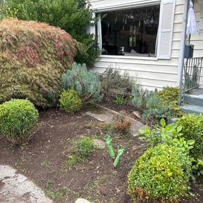 Bush Trimming by Professinal Yard Men reviewed on August 16, 2025