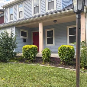 Bush Trimming by Jordan's Lawn Service reviewed on August 6, 2026