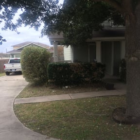 Bush Trimming by Giron Tree Services LLC reviewed on August 17, 2025