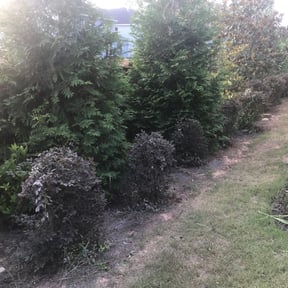 Bush Trimming by KIELS LAWNCARE PROPERTY MAINTENANCE LLC reviewed on August 14, 2025