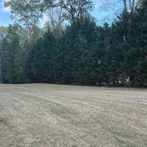 Leaf Removal by A&amp;R Property Preservation reviewed on April 9, 2026