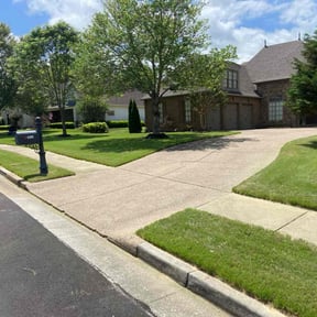 landscaping services by The Bilingual Landscape Artist reviewed on August 18, 2025