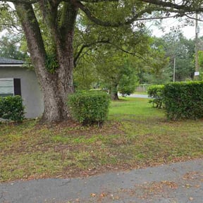 Bush Trimming by Sunscape Lawn Care reviewed on December 8, 2025