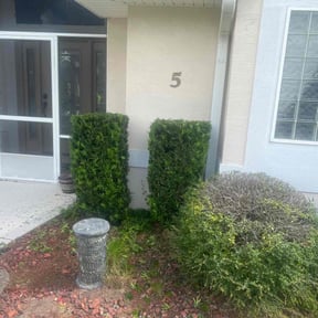 Bush Trimming by Grind It Out reviewed on November 9, 2025