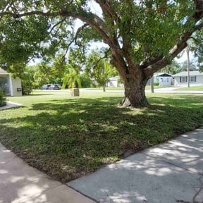 lawn service by Push Mow Loudoun reviewed on November 9, 2017