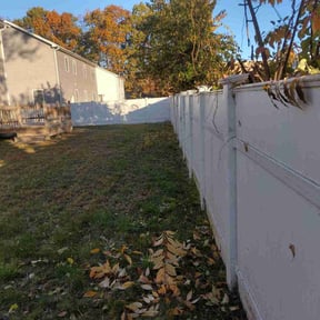 Bush Trimming by Planet one landscape &amp; Lawncare, LLC reviewed on November 9, 2025