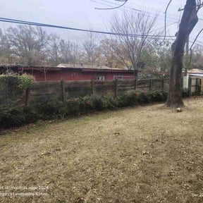 Bush Trimming by Fleur De Lis Landscaping reviewed on December 22, 2025