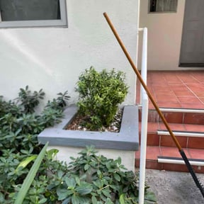 Bush Trimming by MZ Property Services LLC reviewed on September 13, 2024