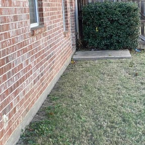 Bush Trimming by Neft General Contractors, Inc. reviewed on August 15, 2025