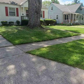 Other by Youngs lawncare and tree service  reviewed on August 19, 2025