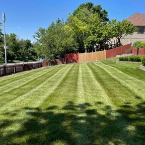 yard work by Cw lawncare LLC reviewed on February 19, 2026
