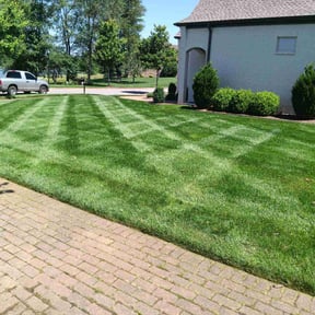 yard service by Charles' grass cutting reviewed on August 15, 2025