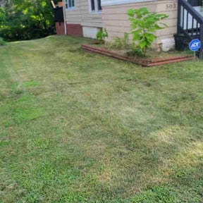 Leaf Removal by Massaro Mowing LLC reviewed on August 19, 2026
