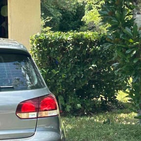 Bush Trimming by Sosa's Lawn Care &amp; Design LLC reviewed on June 29, 2026