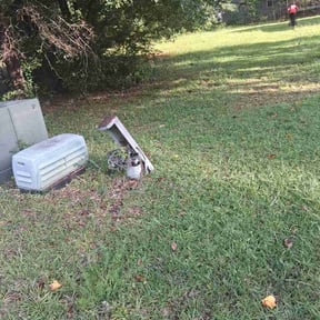 Leaf Removal by Zugreen Lawncare reviewed on July 16, 2026