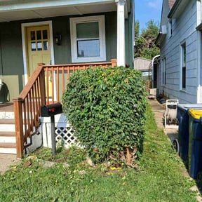 Bush Trimming by Lawns by leo reviewed on July 28, 2026
