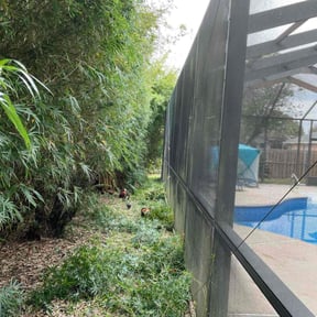 Bush Trimming by Rodgers Lawn Care reviewed on November 24, 2025