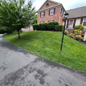 lawn maintenance by Mr. Jims' Lawn Care L.L.C reviewed on August 18, 2025