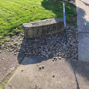 Flower Bed Weeding by Multi Purpose reviewed on April 5, 2026