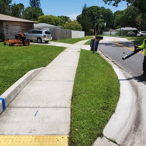 landscaping services by Vertical Lawn Care reviewed on August 17, 2025