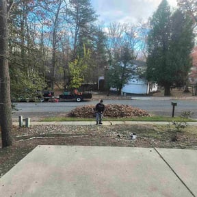 Leaf Removal by T&amp;T Lawn care and pressure washing llc reviewed on October 24, 2025