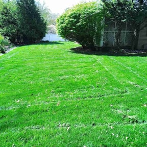 landscaping services by Jennifers Clean Outdoors reviewed on March 14, 2024