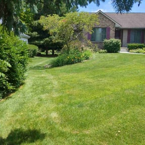 yard work by Amerson Transport LLC reviewed on November 22, 2025