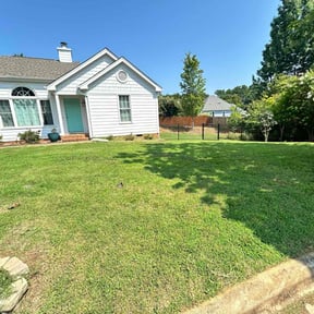 turf care by Morgan landscaping llc reviewed on June 11, 2025