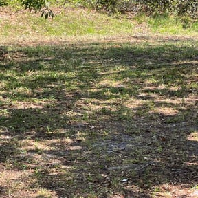 Leaf Removal by JR Lawn Maintenance reviewed on August 17, 2025