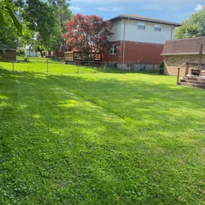 yard maintenance by Steve’s mowing company reviewed on October 21, 2025