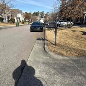 Leaf Removal by The Mason Mowers reviewed on August 15, 2026