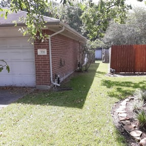 Bush Trimming by Vertical Lawn Care reviewed on August 14, 2025