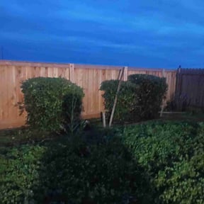 Bush Trimming by Gabriel Landscape reviewed on February 23, 2026