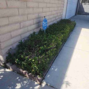 Bush Trimming by Mowtown lawn grooming reviewed on April 15, 2026