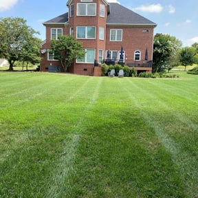 gardening service by Lawn Care Co. reviewed on August 17, 2025