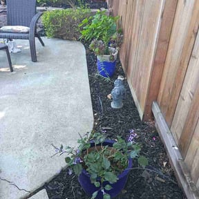 Mulching by Sunlight Property Services reviewed on July 12, 2026