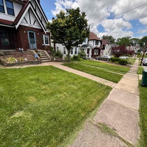 lawn care by DMD LAWN SVC reviewed on September 15, 2023