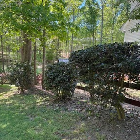 Bush Trimming by Cummings and Cummings Lawn Care reviewed on April 16, 2026