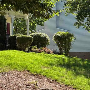Bush Trimming by Wood Duck Lawn Service reviewed on June 3, 2026