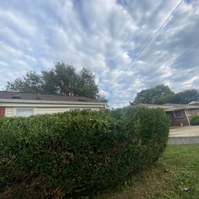 Bush Trimming by Premier Lawn Management reviewed on August 21, 2025