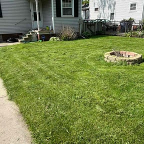 grass cutting by AnnaMaries Home and Lawn Care Services reviewed on July 24, 2019